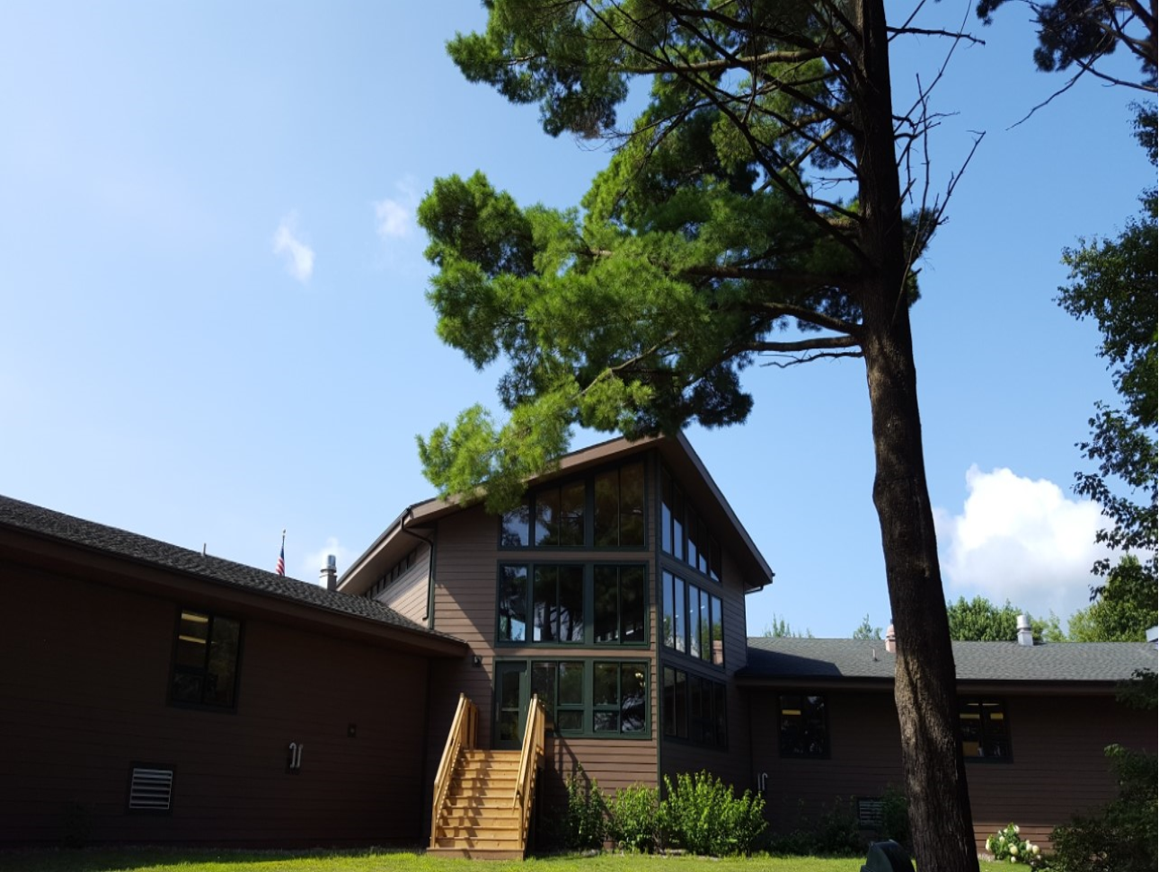 back of library ed