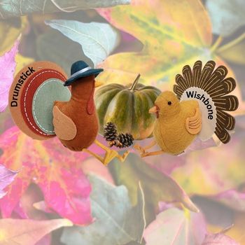 Two plush turkeys labeled "Drumstick" and "Wishbone" with an autumn leaf background.