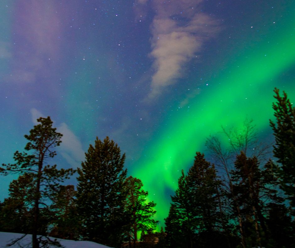 Northern Lights over trees with snow on ground.