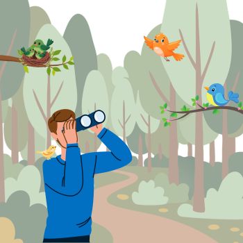 Person birdwatching in a forest with birds perched nearby.