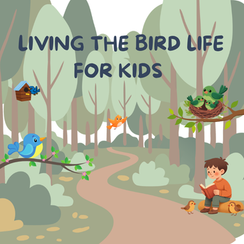 Illustrated forest scene with a boy reading and birds in trees.