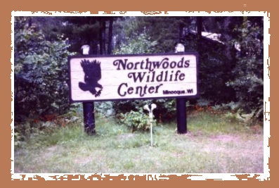 Sign for Northwoods Wildlife Center in a wooded area with an eagle illustration.